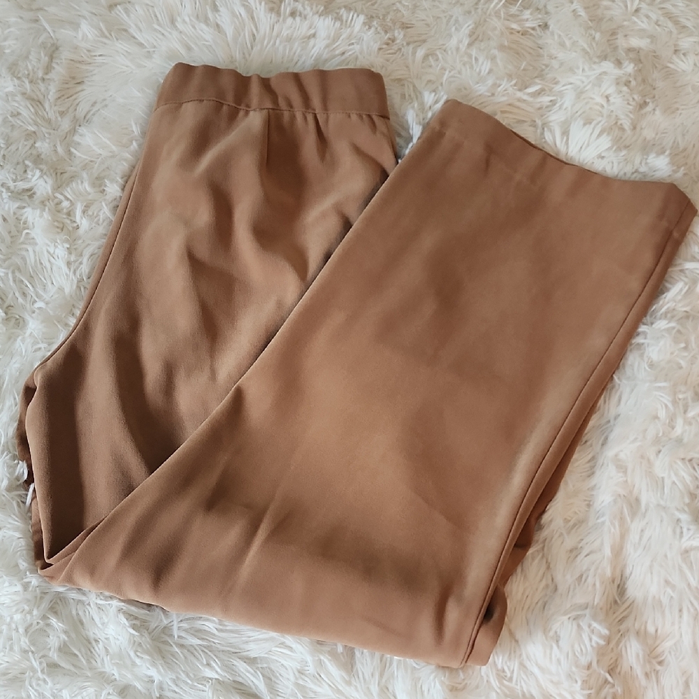 Coldwater Creek Stylish Tan Pants